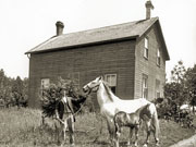Man showing horse and foal beside 1½-storey frame house.